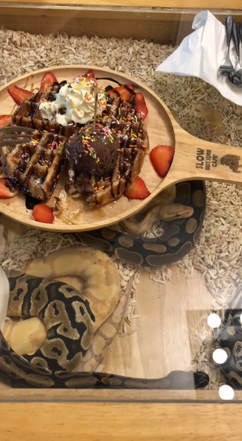 2A8C3FEB-04F5-4A41-BED2-6BC38D14BFAD