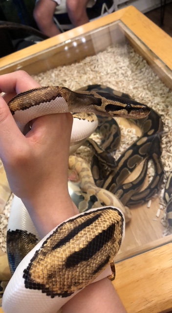 D1B01DB0-2A95-45F1-AB5B-5E8F0CB1E900