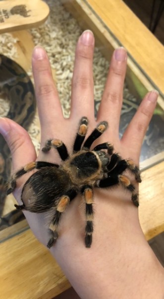 FD5EA6B0-3FFC-49A9-AD9A-64F04A2C432F