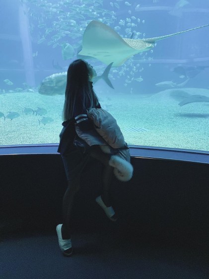 7ac98b58-7938-45da-87c9-d881ef553505